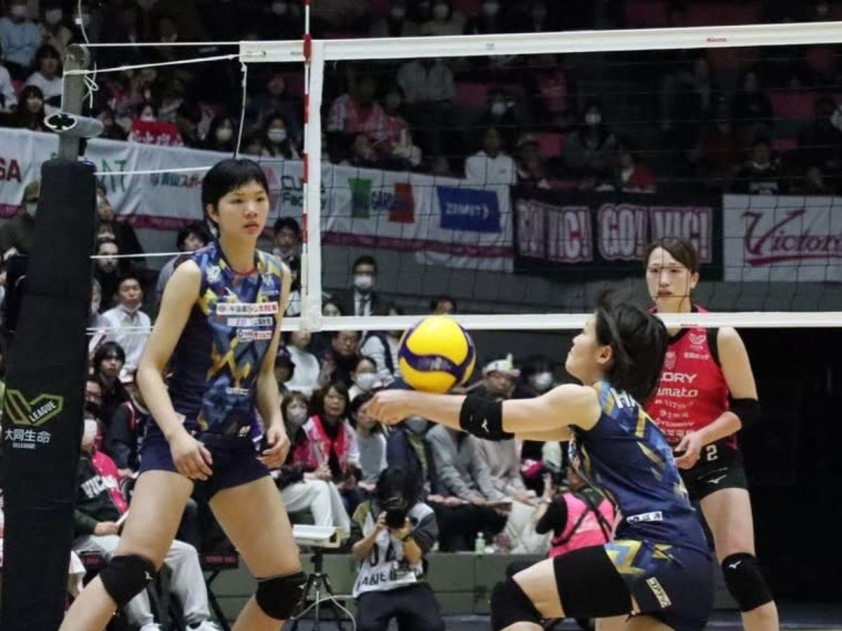 nh-tt247-2-69acdd1cd3b26-1 Trực tiếp bóng chuyền Okayama Seagulls vs Victorina Himeji, 12h05 hôm nay 8/3-803818