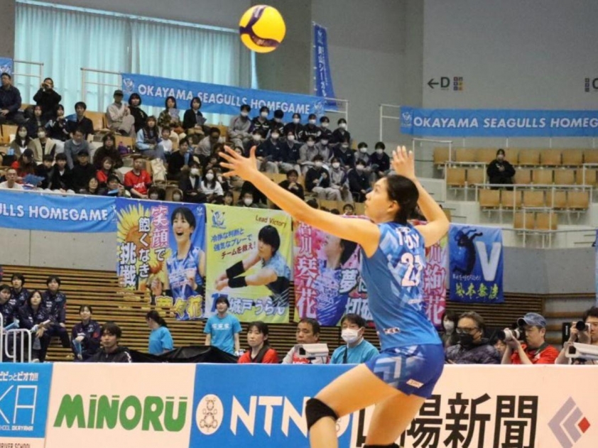 nh tt247 (3)